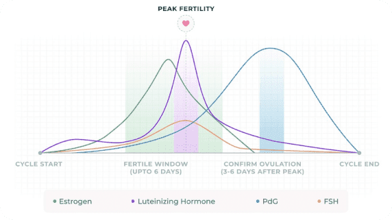Graph showing fertility hormone chart
