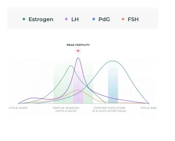 Graph showing fertility hormone chart